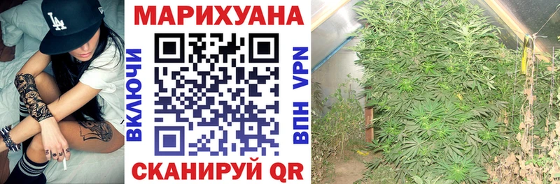 Где можно купить наркотики Новоуральск Кокаин  Меф мяу мяу  Галлюциногенные грибы  Alpha PVP  Марихуана  Гашиш 