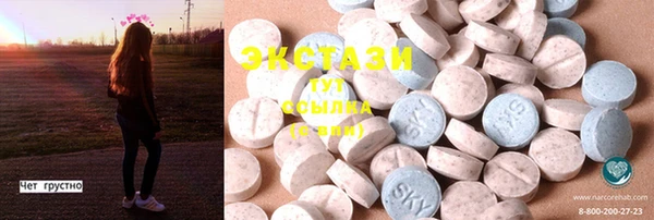PSILOCYBIN Инсар