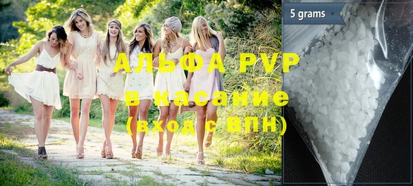 PSILOCYBIN Инсар