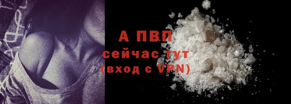 PSILOCYBIN Инсар