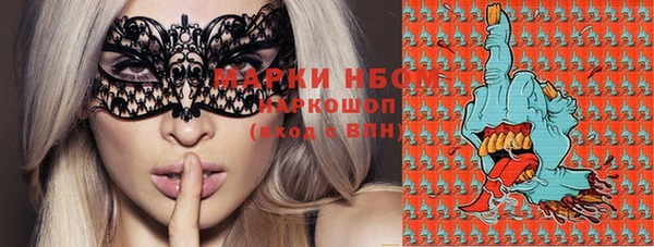 твердый Иннополис