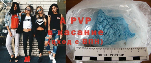 PSILOCYBIN Инсар
