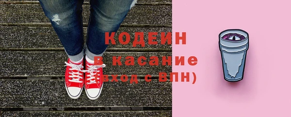 твердый Иннополис
