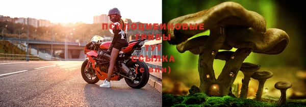 твердый Иннополис