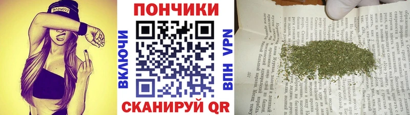 Бошки Шишки сатива  Новоуральск 